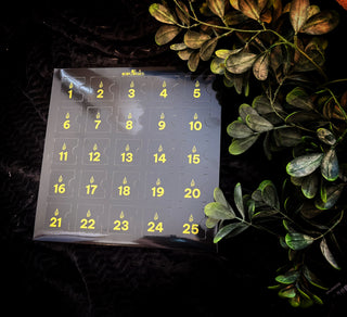 (Pre order) Advents Kalender Waxies