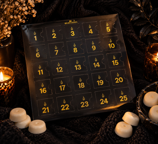 (Pre order) Advents Kalender Waxies